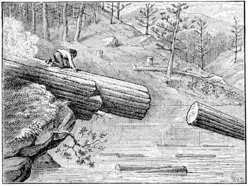 1876 illustration of a man riding a log down a wooden V-flume in the Sierra Nevada