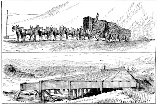 1876 illustration showing a mule team hauling wood near Washoe and a blanket sluice bridge
